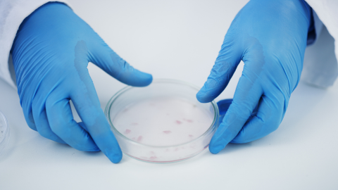 Lei regulamenta a profissão de sanitarista no Brasil